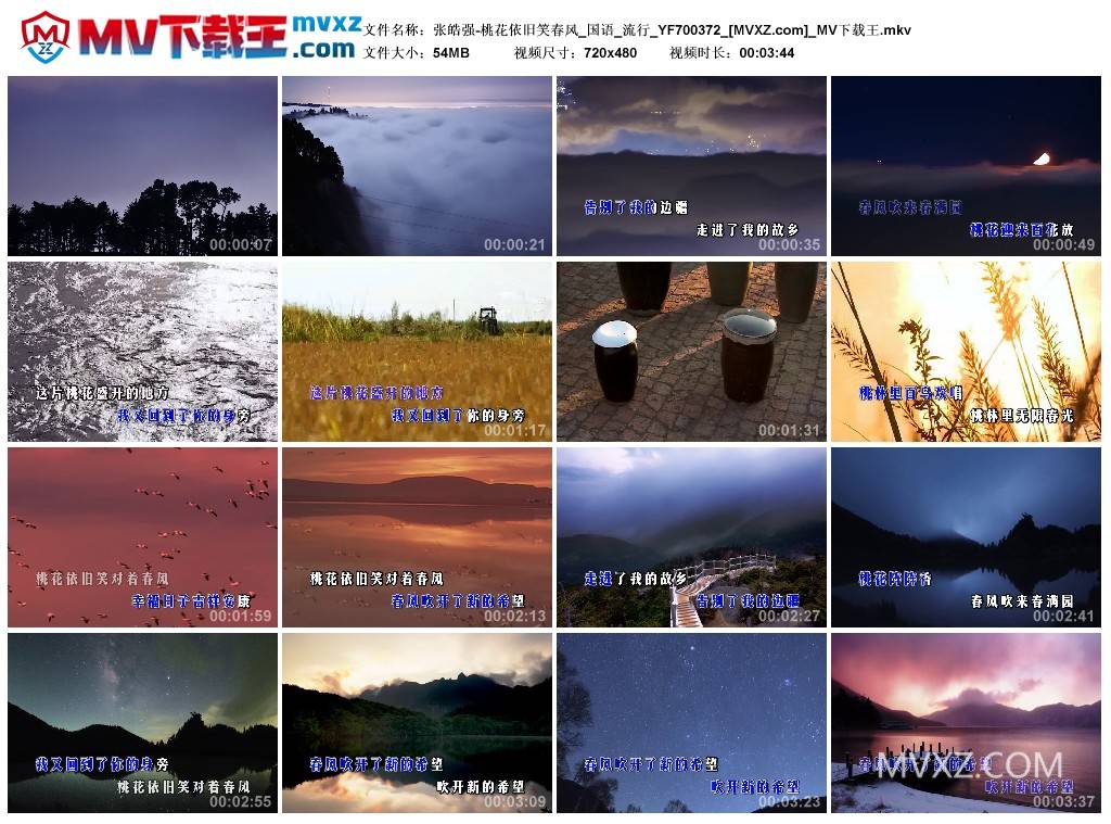 张皓强-桃花依旧笑春风_国语_流行_YF700372